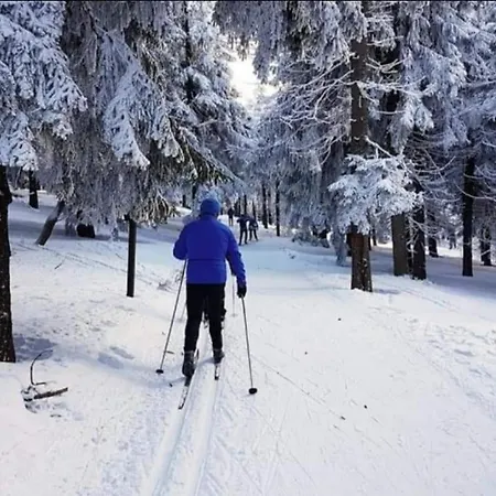Apartament Zielona Przystan Kłodzko Esterno foto
